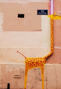 La girafe de la rue Pelletier