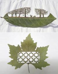 Sculptures sur feuilles