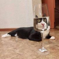 Un verre, ça va