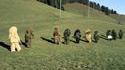 Camouflés en herbe