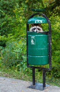 Recyclage des déchets