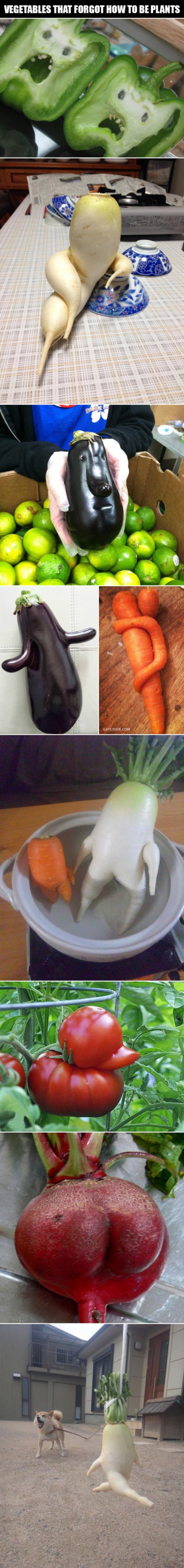 Les légumes et les fruits qui ont oublié ce qu'ils sont.