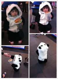 Un petit panda