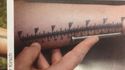 Le tatouage règle