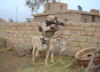 Restriction budgétaire dans l'US-Cavalry