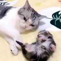 Réaction de la maman