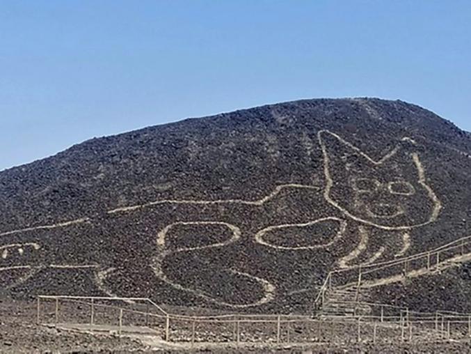 Pérou : un géoglyphe de chat découvert dans le désert de Nazca

Un nouveau géoglyphe, vieux de plus de 2.000 ans et représentant un félin, a été découvert récemment au Pérou qui rouvrira l'accès en novembre à ces mystérieux dessins géants tracés sur le sol dans le désert de Nazca. Ce géoglyphe d'un chat aux oreilles pointues d'environ 37 mètres de long a été récemment sorti de l'oubli, ses lignes ayant pu être repérées par un survol de drones.

Les géoglyphes de Nazca ont été découverts il y a près d'un siècle

"La silhouette était à peine visible, elle était sur le point de disparaître en raison de son emplacement, sur une pente assez raide, et des effets de l'érosion naturelle", a indiqué le ministère de la Culture péruvien. Un groupe d'archéologues a nettoyé et redessiné les contours du géoglyphe situé à flanc de colline et dont les lignes sont de 30 et 40 centimètres de largeur.

Classés au patrimoine mondial de l'humanité, les géoglyphes de Nazca, découverts il y a près d'un siècle dans le Sud du Pérou, sont des figures géométriques représentant environ 70 animaux et plantes, visibles uniquement du ciel, ce qui a alimenté au fil des années l'une des plus grandes énigmes de la planète.

"Les représentations de félins sont fréquentes dans l'iconographie de la société Paracas"

D'après ses caractéristiques stylistiques, le géoglyphe récemment mis au jour date de la fin de la période Paracas, ancienne civilisation pré-inca (-800 avant J.-C.). "Les représentations de félins de ce type sont fréquentes dans l'iconographie des céramiques et des textiles de la société Paracas", a expliqué le ministère.

Le 10 novembre, le Pérou rouvrira le site des lignes millénaires de Nazca, l'une de ses principales attractions touristiques, fermée depuis sept mois en raison de la pandémie. Situées sur une zone de 750 km2 dans le désert, à environ 350 km au Sud de Lima, ces lignes avaient, selon les archéologues, une fonction cérémonielle.

Les plus connus de ces géoglyphes sont un singe de 135 mètres d'envergure, la queue en spirale, une araignée (46 mètres de long), un colibri (66 mètres d'une aile à l'autre) ou un oiseau géant, long de 300 mètres et large de 54. Elles ont été gravées par les Nazca, un peuple établi dans la zone de 200 à 700 après J.-C., et seraient donc postérieures aux géoglyphes des Paracas.

Source :  https://www.sciencesetavenir.fr/archeo-paleo/archeologie/perou-un-geoglyphe-de-chat-decouvert-dans-le-desert-de-nazca_148527
