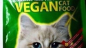 Nourriture végétarienne pour chat