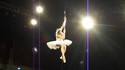 Lac des cygnes pole dance
