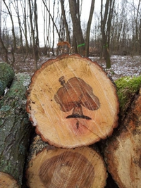 Treeception