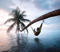 Relax