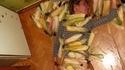 Ici, pas de bananes tueuses, uniquement des endives !