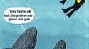 Shark gas