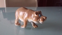 De quel animal s'agit-il ?