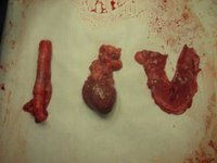I <3 you (2)