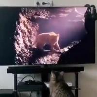 Un film 