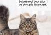 FDP Finance Conseil 