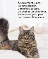 FDP Finance Conseil 