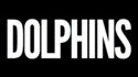 Vous aimez les dauphins ?