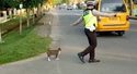 Ils contrôlent la Police