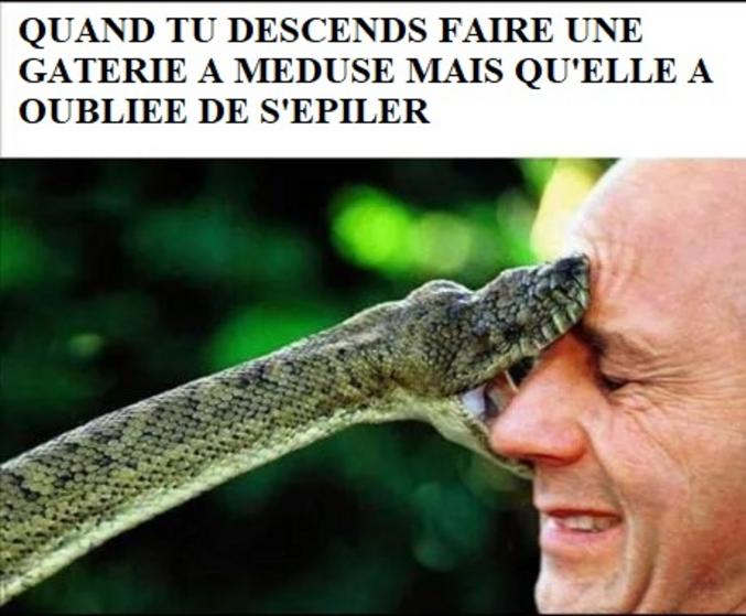 Son esthéticienne a ouvert une ferme à serpents.