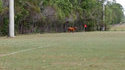 Uninvited guest enters the field
