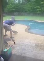 Un homme et son canard 