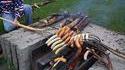 Barbecue de fermier