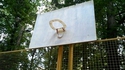 Une lunette de basket