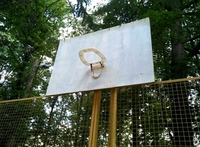 Une lunette de basket