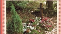 Le belles histoire de Martyr 8