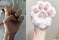 Simuler une empreinte canine