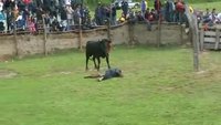 El matador