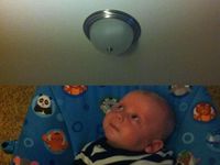 L'instinct de bébé