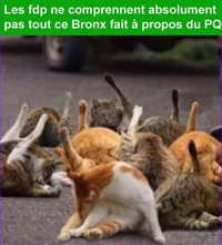 Faudra-t-il en venir à imiter nos amies les bêtes ?