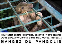 Il faut tout essayer dans la vie...