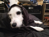 Wouah wouah Wouak'Bar