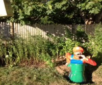 Super Mario Bière