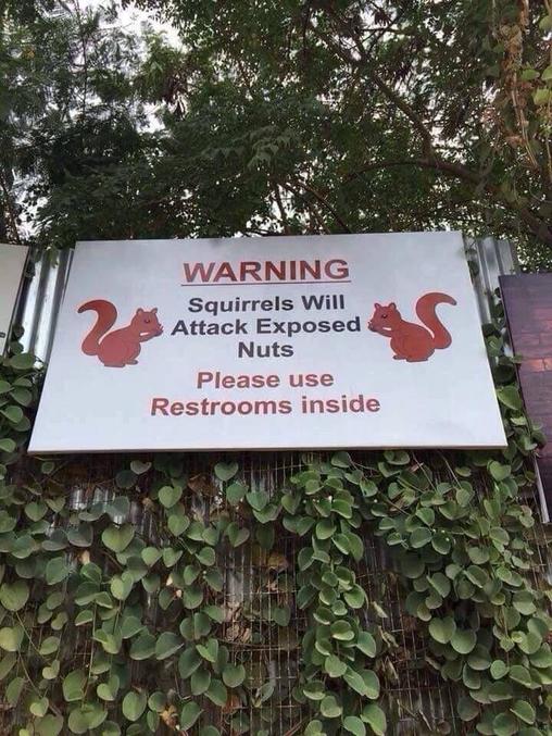 Attention
Les écureuils attaquent toutes les noisettes exposées.
Utilisez les toilettes à l’intérieur