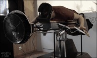 Immersion 2