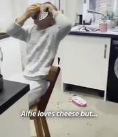 Alfie aime le fromage 