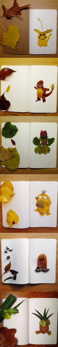 Des Pokémon et des feuilles