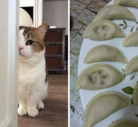 "C'est pas moi"