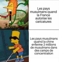 Ceci n'est pas une caricature