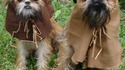 Cosplay d'Ewoks