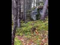 La Terre est vivante