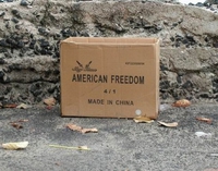Liberté américaine