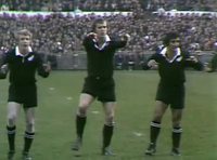 Haka en 1973