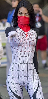 Cosplay Silk