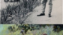 Claude Monet à Giverny (été 1905)